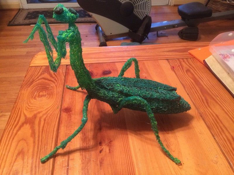 What Can I Do With a 3D Pen? 10 Cool 3D Pen Ideas